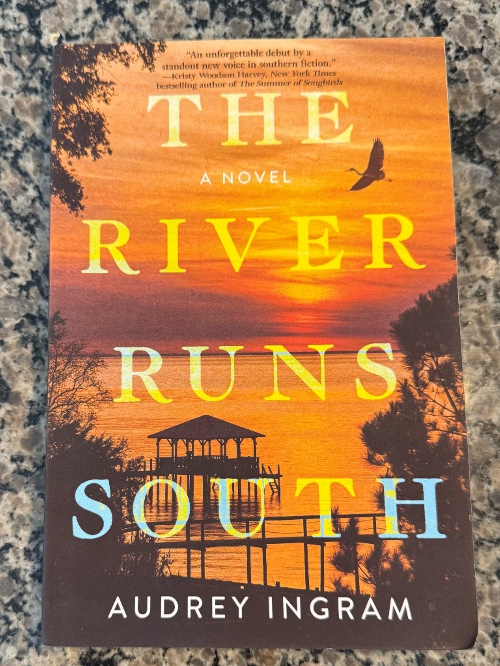 The River Runs South : A Novel by Audrey Ingram (2023, Trade Paperback)